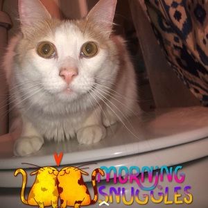 Meet your Posher, Bailey